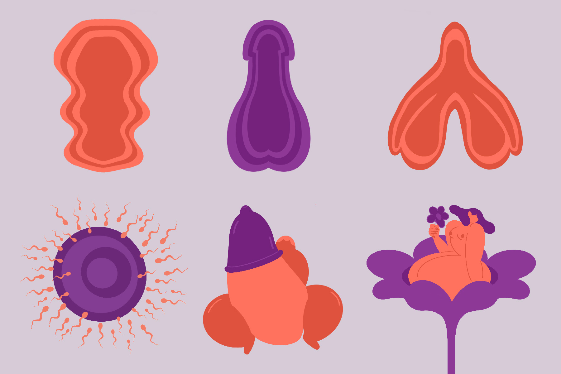 illustrations of sexuality for the bloom project